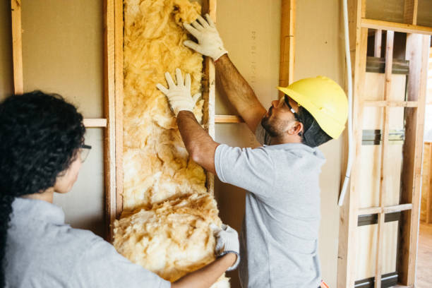 Types of Insulation We Offer in Nanawale Estates, HI